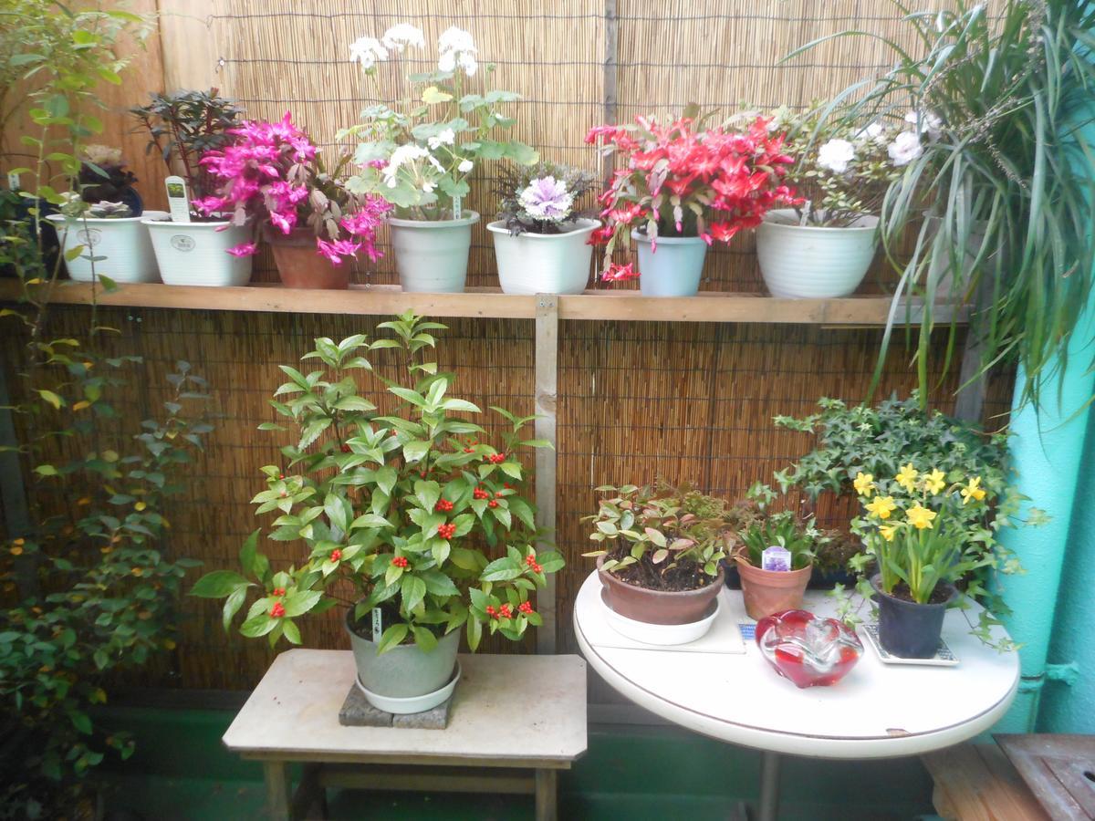 Jgh Tokyo Hostel Kawaguchi  Exterior foto
